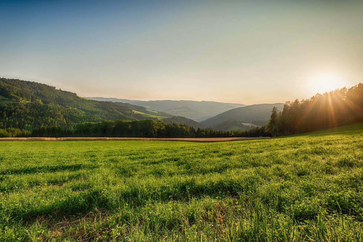 Мир без мусора! 