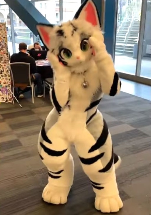 Фурри, еще может быть с головой зверя, но телом и одеждой человека.