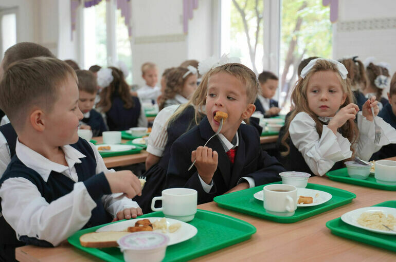 Питание в школьных столовых. Льготное питание в школе. Горячее питание школьников. Платное питание. Организация питания в образовательных учреждениях.