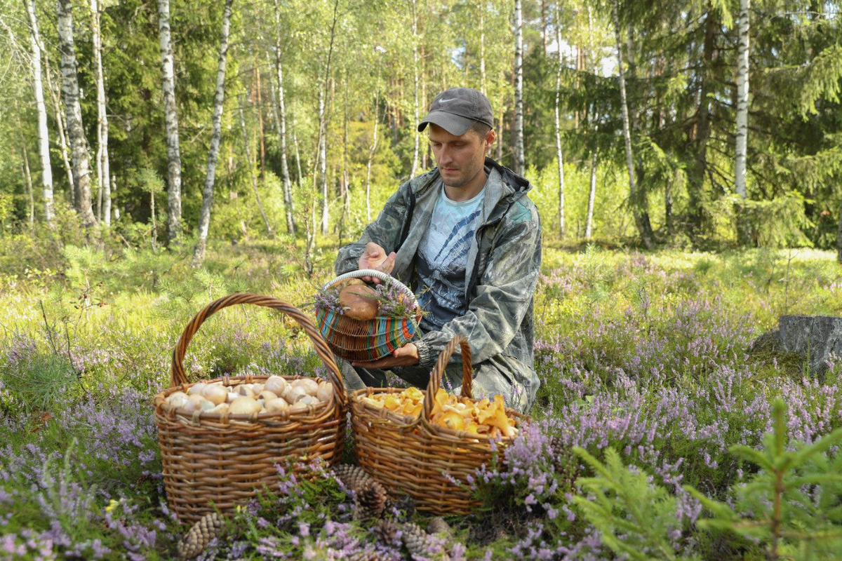 Осенние урожаи радуют -  хоть косой коси!.  