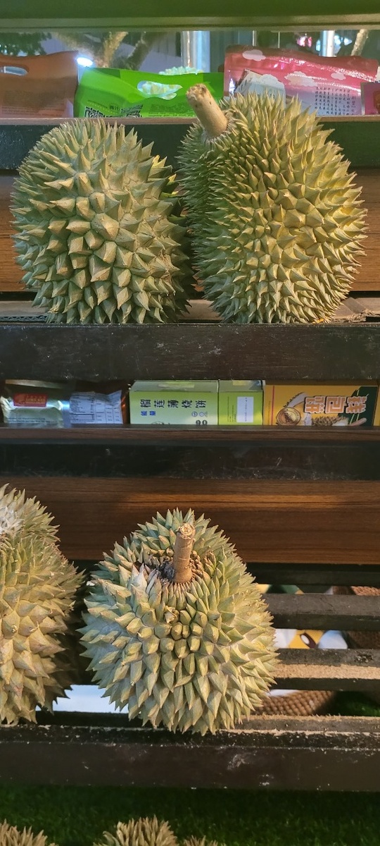 Плод дуриана