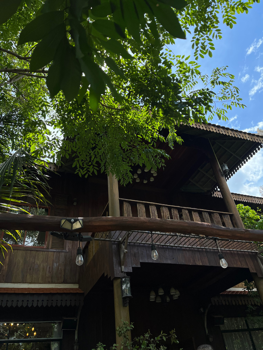 Магазин внешне был симпатичным, да и цены нормальные. 