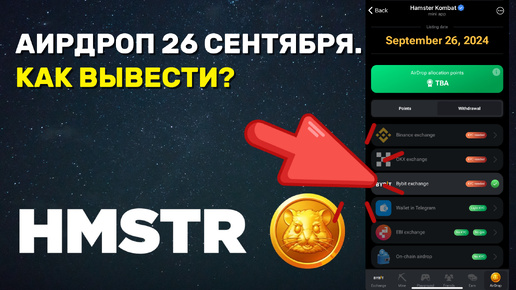 1 токен hmstr