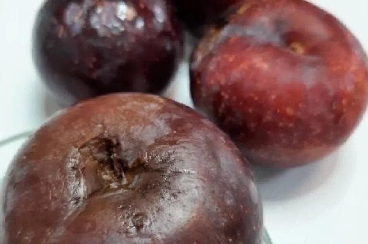    Заражённые сливы из Китая пытались проникнуть в Забайкалье