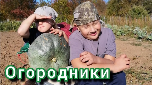 Собираем урожай Огромные АРБУЗЫ 😅 VLOG Семейный канал