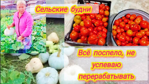 Собрали урожай,не успеваю перерабатывать