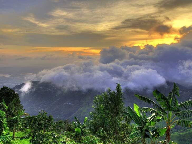 Яндекс. Открытый источник 