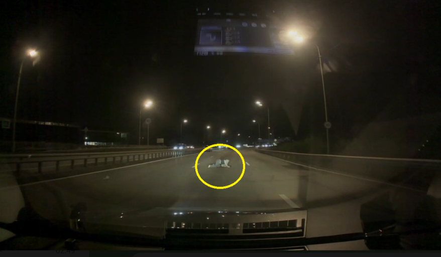    Источник фото: Скрин видео