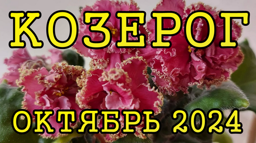 КОЗЕРОГ таро прогноз на ОКТЯБРЬ 2024 года.