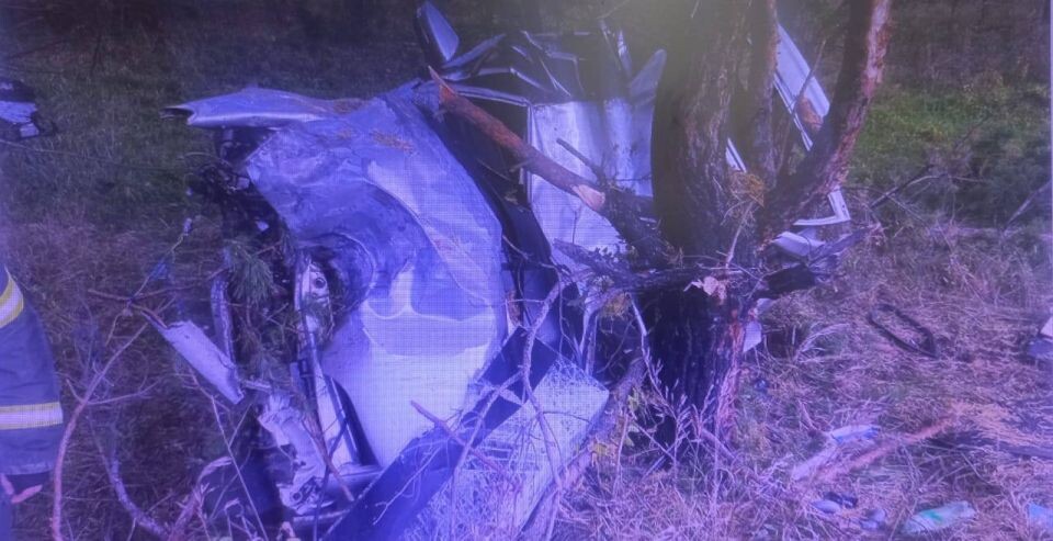    Смертельное ДТП в Волчихинском районе. Источник: T.me/gibdd22