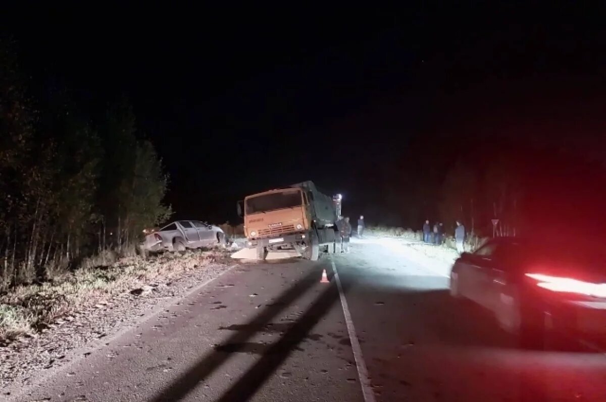    В Омской области из-за водителя КамАЗа погибло двое людей