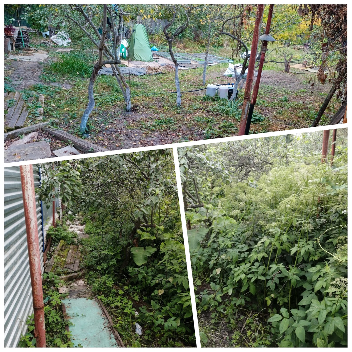 Разница все-таки большая 