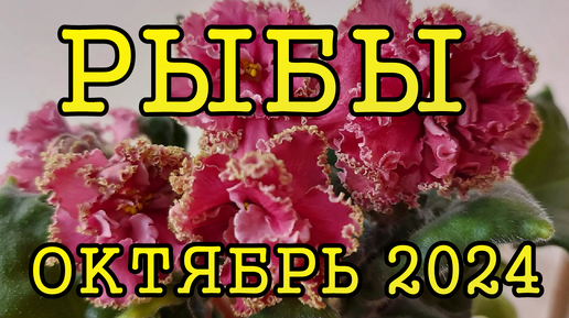 РЫБЫ таро прогноз на ОКТЯБРЬ 2024 года.