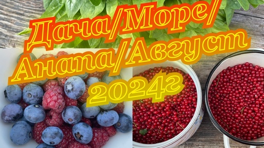 Дача/Море/Анапа/Август 2024 г