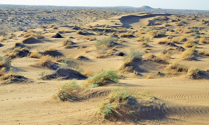 Источник фото: turkmenistan.gov.tm