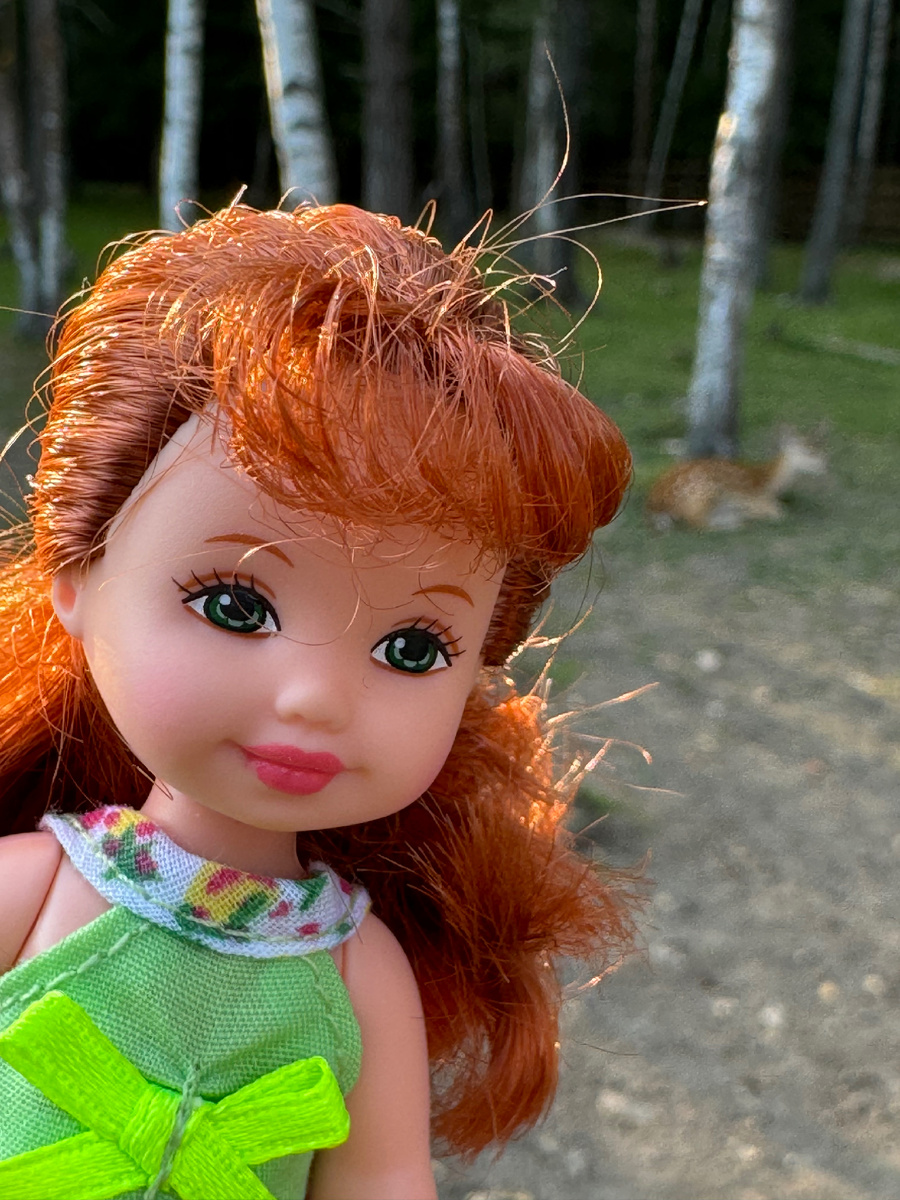 Смотрели на оленей 