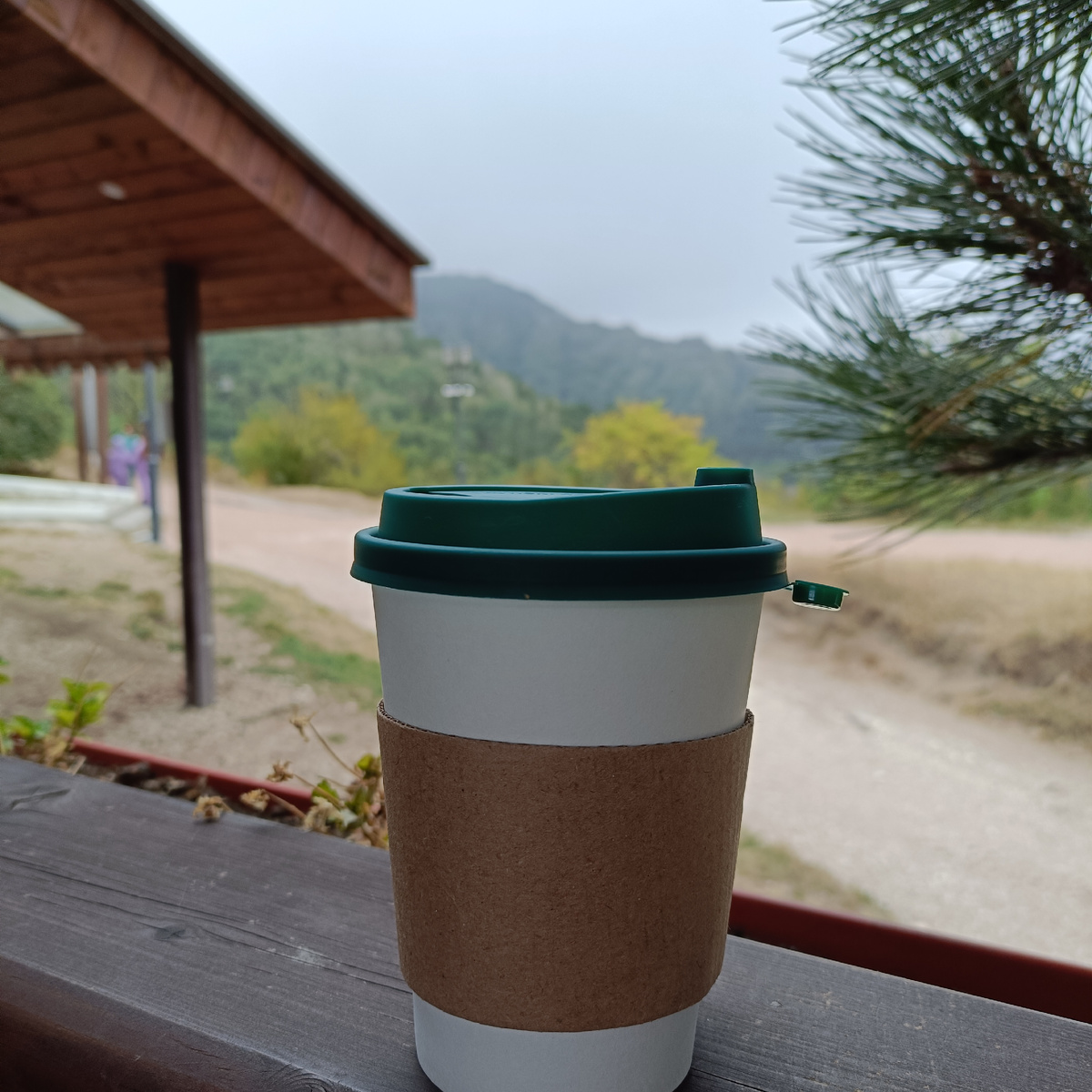 Хотела попить чаю на верху, но меня чуть не снесло вместе с чаем, и я пошла вниз