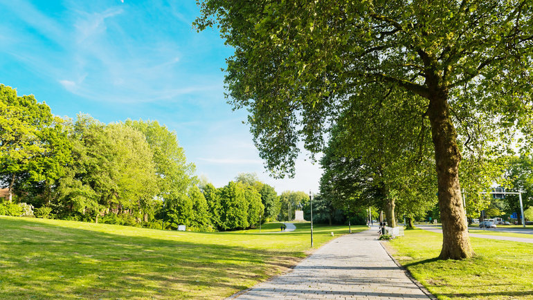    istockphoto.com/Valeriya