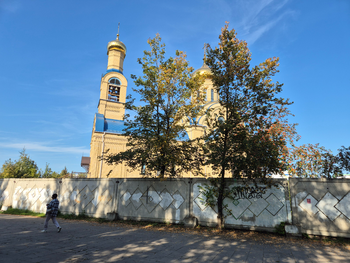 осень нынче не осень