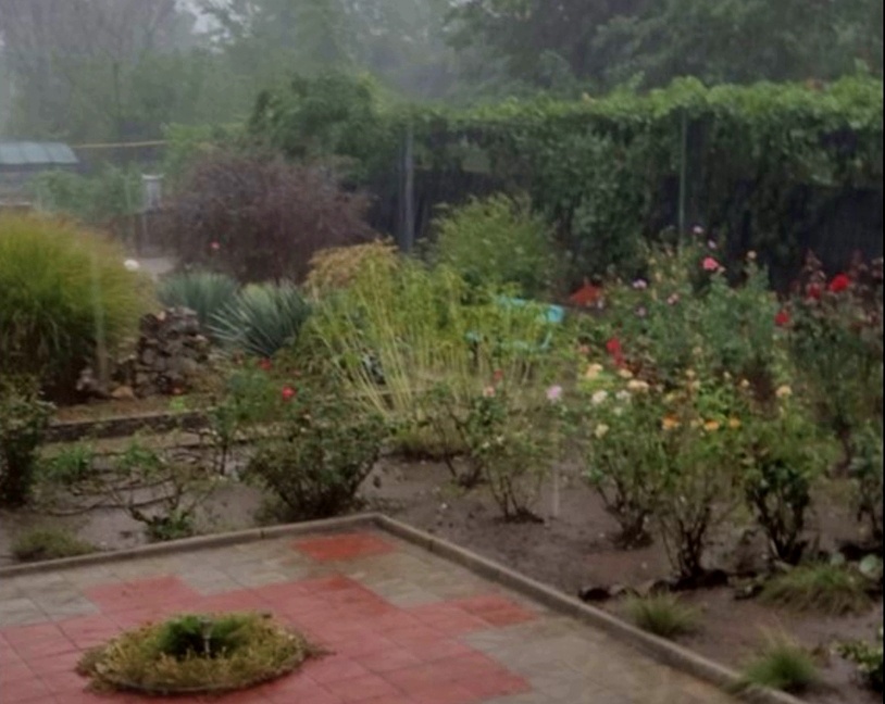 Такой у нас сегодня день, дождь и пасмурно