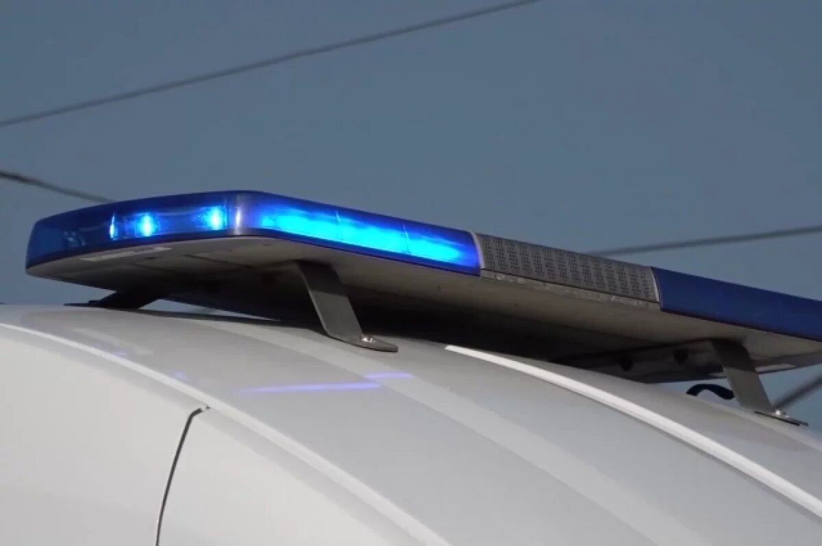    В МВД заявили о попытке ослепить экипаж самолета Петербург — Челябинск