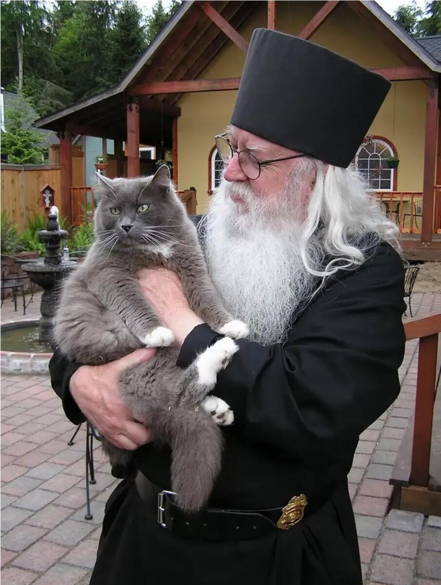 Кот игумена.
