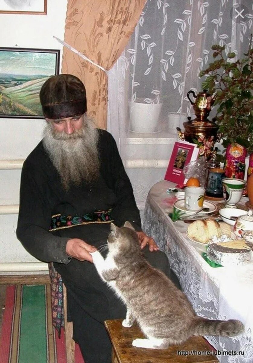 Монах и кот
