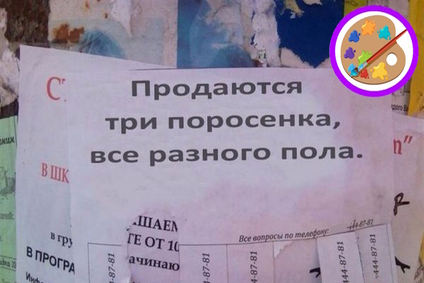 Фото с ресурса demotivatorium.ru 