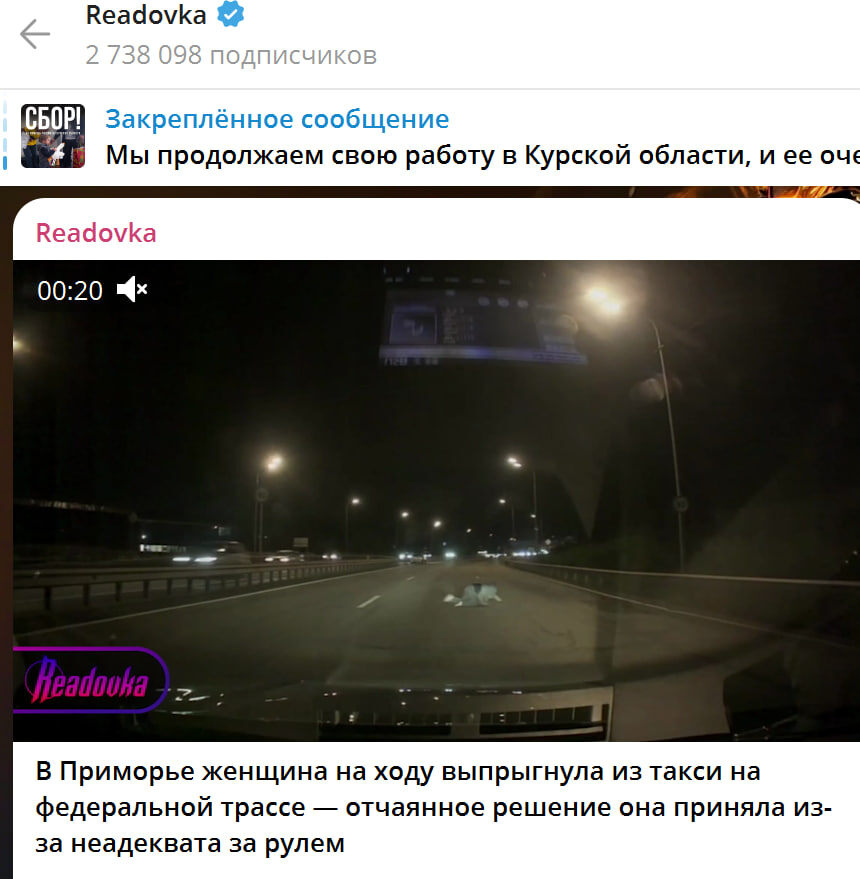    Скриншот: Readovka/Telegram