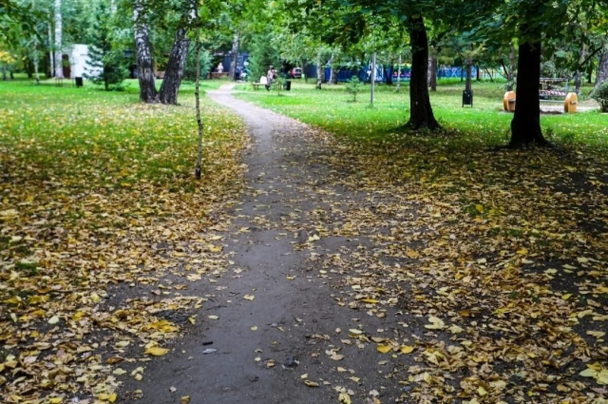    На Новосибирск надвигается резкое похолодание из Арктики