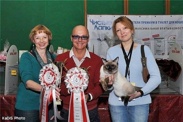 Приятно, когда твой кот получает такие розетки