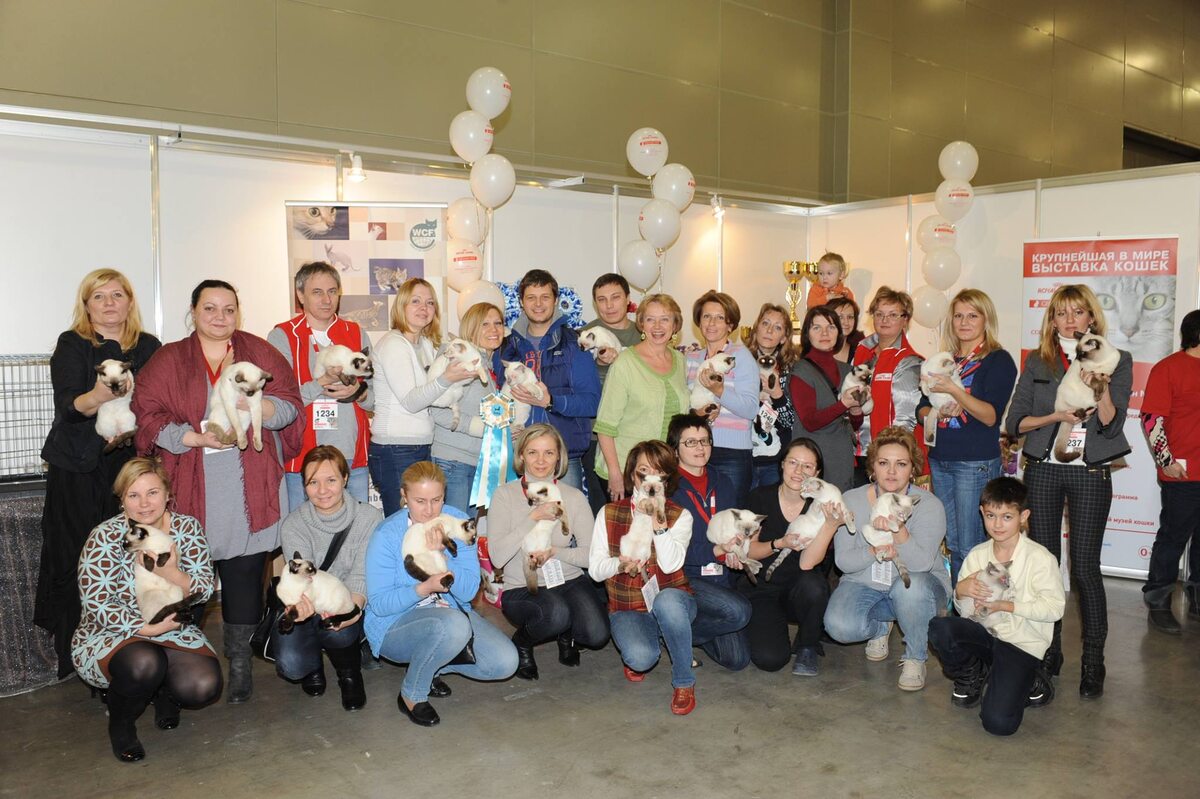 Тайские единомышленники