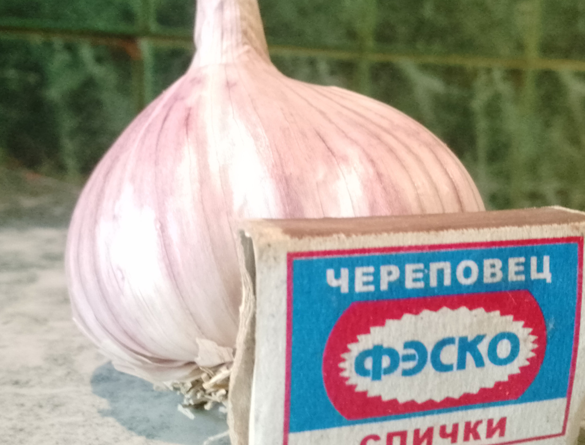 Личное фото