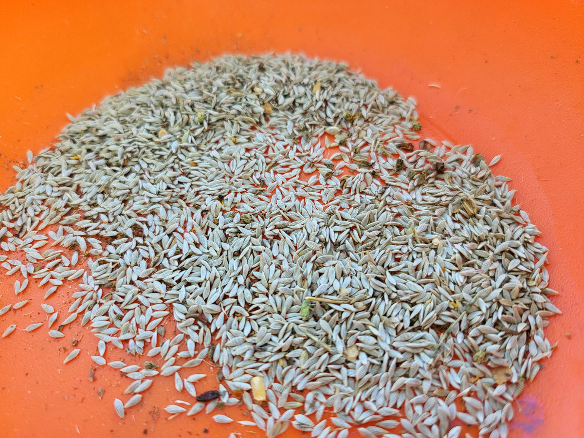 В статье использованы фото автора