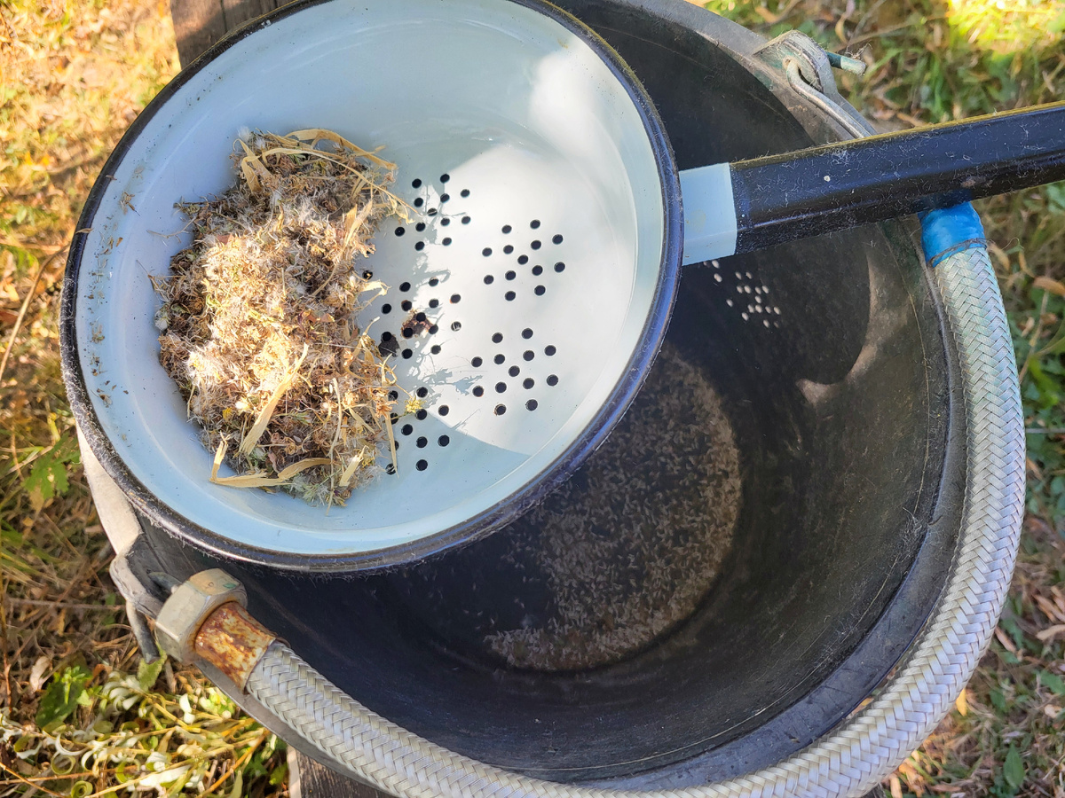 Высокотехнологичное оборудование для очистки семян салата от примесей