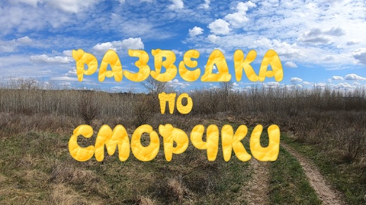 Разведка по сморчки