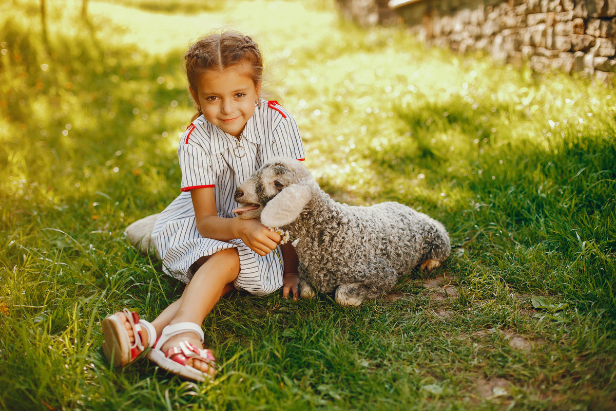 «Разработано Freepik»