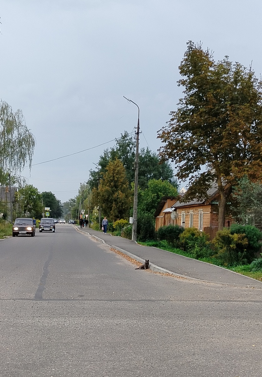 Встреча на ул. 1 Мая