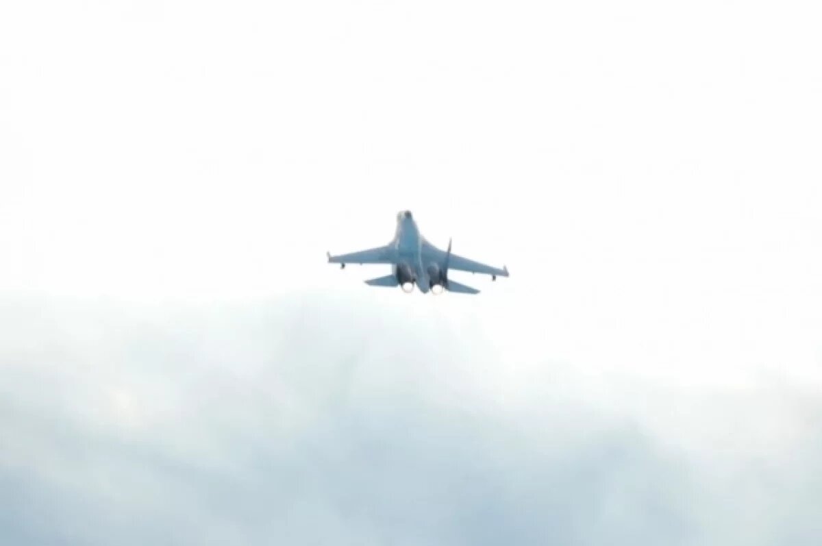    ВКС РФ сбили два украинских Су-27 и один МиГ-29