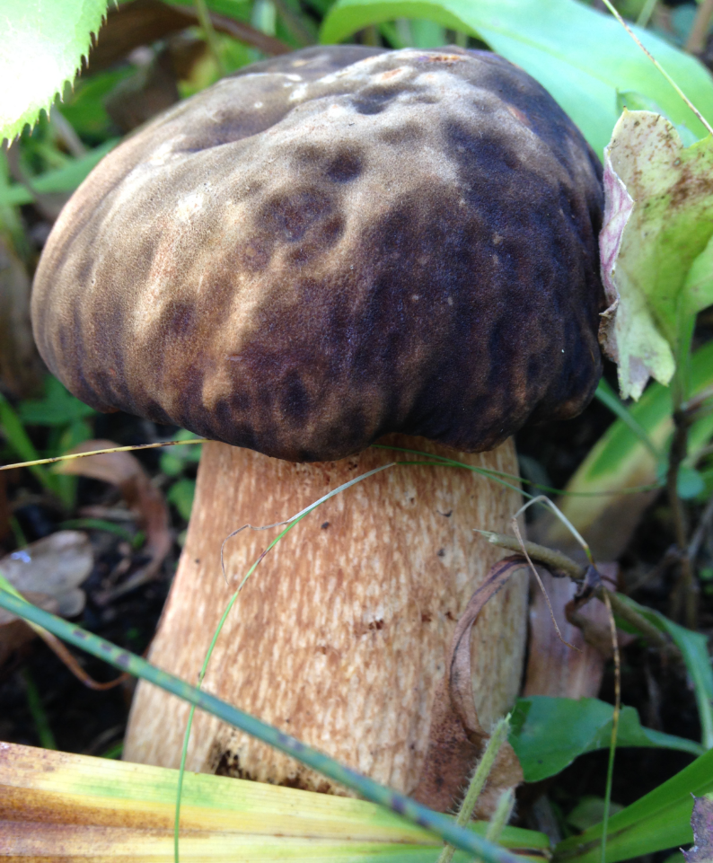 Автор фото Ирина Павленко