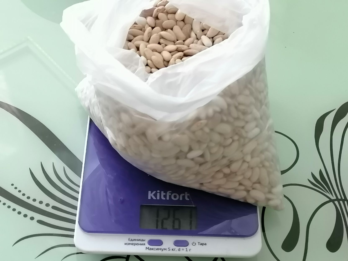 Зерна фасоли Румба, фото автора