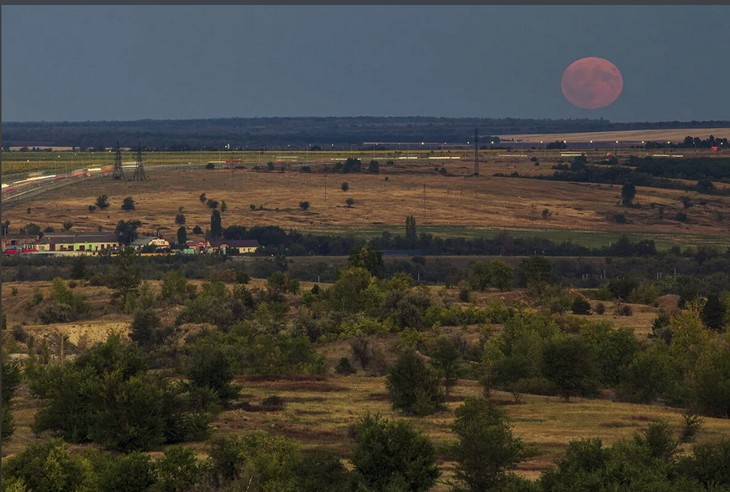 Фото Алексея Коверзнева