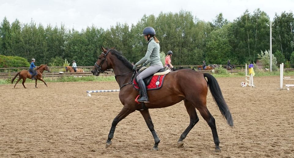    Пресс-служба администрации городского округа Химки