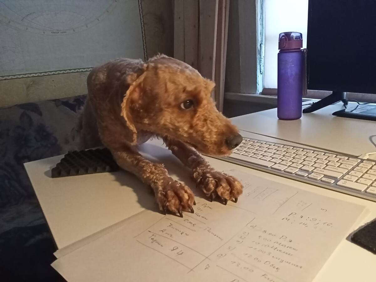 Румпель: - Меня никто не поощряет... только шерсть крадут постоянно.