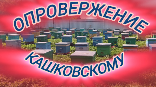 Опровержение Кашковскому