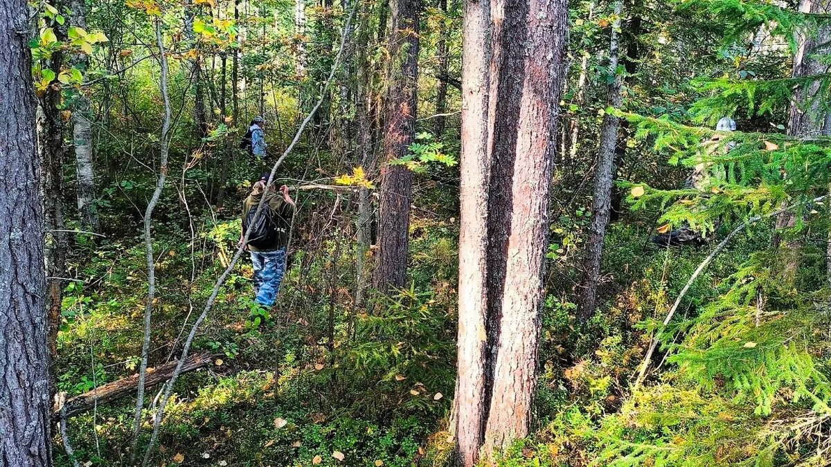     Источник: Питкяранта. ДПСО «Длинный Берег»