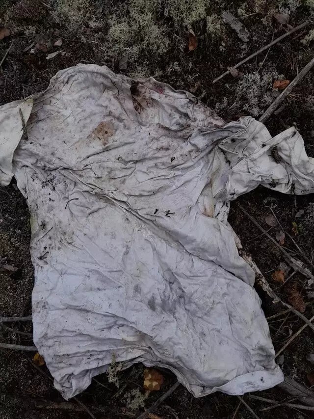     Источник: Питкяранта. ДПСО "Длинный Берег"