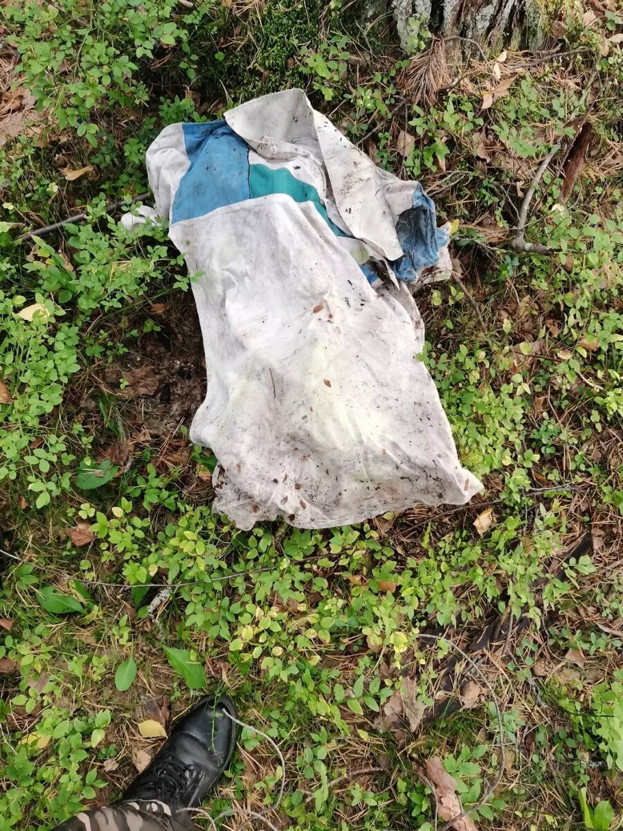     Источник: Питкяранта. ДПСО «Длинный Берег»