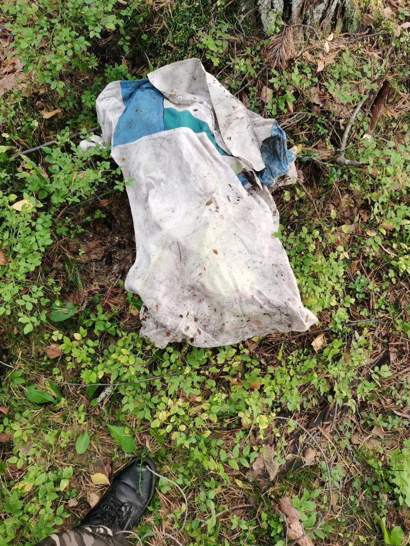    Испачканную одежду нашли во время поисков пропавшей девушки в Карелии