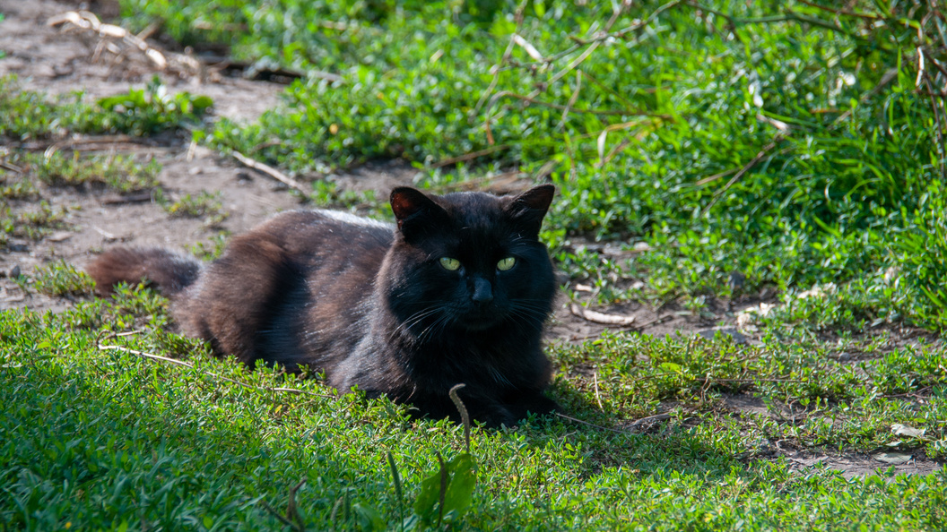    Фото: Svetlana Vozmilova/Globallookpress